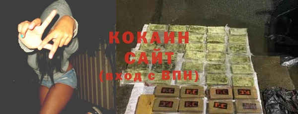 ГАЛЛЮЦИНОГЕННЫЕ ГРИБЫ Вязьма