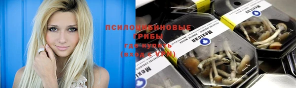 тгк Покровск
