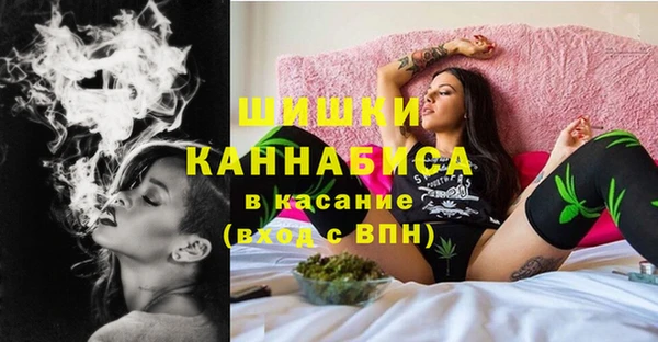 ГАЛЛЮЦИНОГЕННЫЕ ГРИБЫ Вязьма
