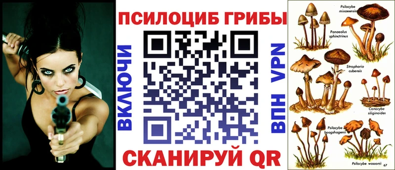 Купить закладки  Холмск  Псилоцибиновые грибы Psilocybe 